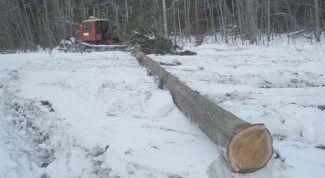 Картинка по теме - как получить делянку