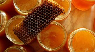 Картинка по теме - что такое прополис