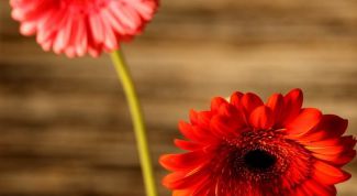 Картинка по теме - как плести венки из цветов