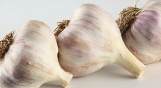 Картинка по теме - как употреблять чеснок