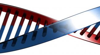 Картинка по теме - что такое днк