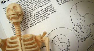 Картинка по теме - что такое анатомия