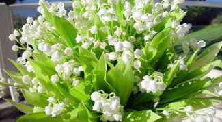 Картинка по теме - как заказать доставку цветов