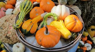 Картинка по теме - что такое питание