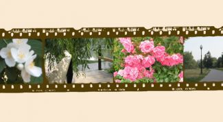 Картинка по теме - как сделать музыкальное слайд-шоу