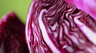 Картинка по теме - как приготовить красную капусту