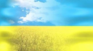 Картинка по теме - как ввезти товар из украины