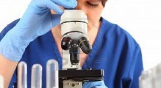 Картинка по теме - что такое лизосомы