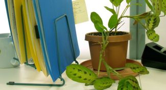 Картинка по теме - как сделать школьный журнал