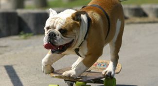 Картинка по теме - как тормозить на скейте