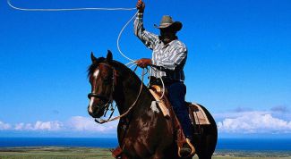 Картинка по теме - как бросать лассо