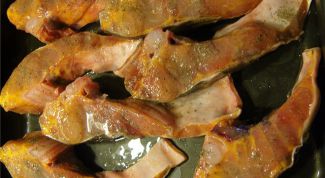 Картинка по теме - как солить осетра