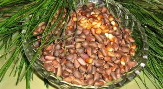 Картинка по теме - как сделать кедровое масло