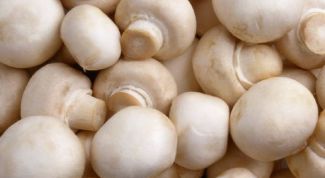 Картинка по теме - как выбрать шампиньоны