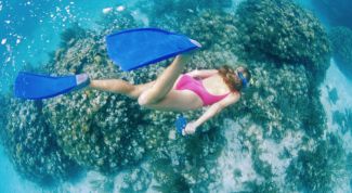 Картинка по теме - как выбрать агентство путешествий