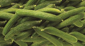 Картинка по теме - как похудеть на огуречной диете