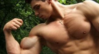 Картинка по теме - как набрать мышечную массу рук