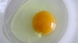 Картинка по теме - что делать с белками