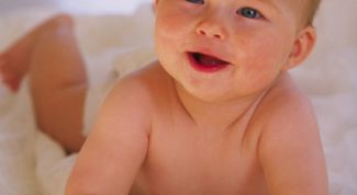 Картинка по теме - как увеличивать прикорм