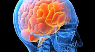 Картинка по теме - что делает человека умным