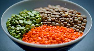 Картинка по теме - как вырастить чечевицу