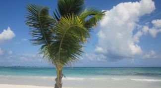 Картинка по теме - как создать туристическое агенство