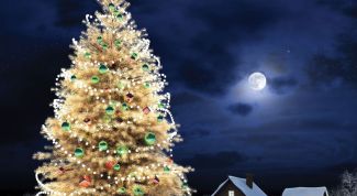 Картинка по теме - как встречать наступающий новый год