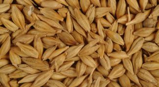 Картинка по теме - как заработать на зерне