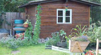 Картинка по теме - как обустроить дачу своими руками