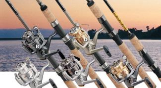 Картинка по теме - как открыть магазин рыболовных товаров