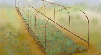 Картинка по теме - как построить парник на даче