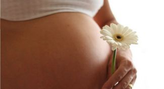 Картинка по теме - как успокоить нервы во время беременности