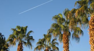 Картинка по теме - как выбрать тур в египет