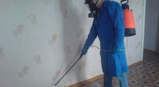 Картинка по теме - как вести борьбу с клопами