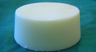 Картинка по теме - как применять медвежий жир