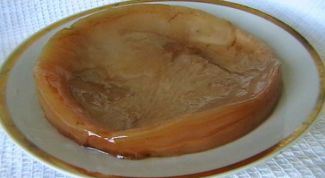 Картинка по теме - как вылечить чайный гриб