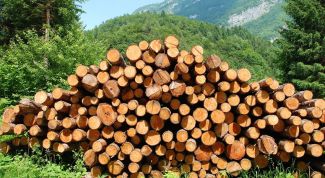 Картинка по теме - как открыть лесопилку