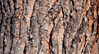 Картинка по теме - как сделать фактуру дерева
