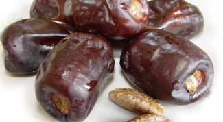 Картинка по теме - как хранить финики