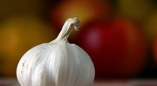 Картинка по теме - как устранить запах чеснока