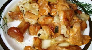 Картинка по теме - как жарить грибы с луком