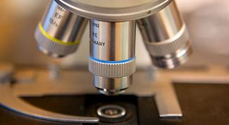 Картинка по теме - как смотреть в микроскоп