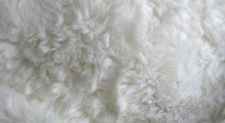 Картинка по теме - как убрать желтизну меха