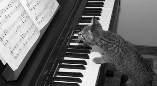 Картинка по теме - как сочинить музыку к песне