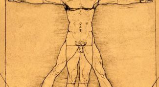 Картинка по теме - что такое пропорция