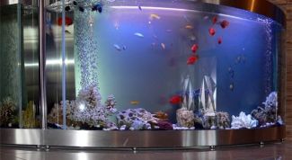 Картинка по теме - как выполнить оформление аквариума