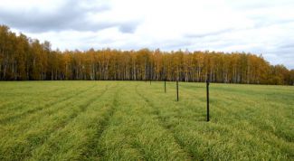 Картинка по теме - как получить земельную долю