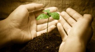 Картинка по теме - что такое благотворительность