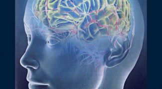 Картинка по теме - как лечить потерю памяти