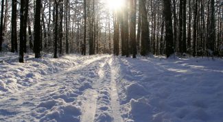 Картинка по теме - что делать, чтобы не замерзнуть